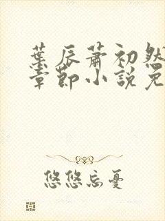 叶辰萧初然最新章节小说免费阅读封面