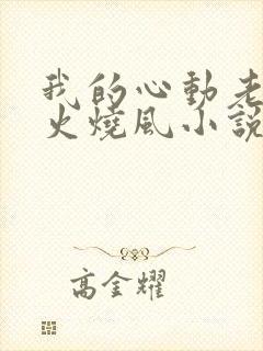 我的心动老板娘火烧风小说完整下载