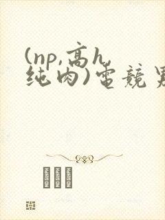 (np,高h,纯肉)电竞男男