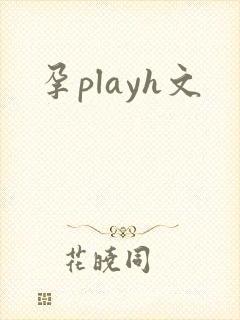 孕playh文封面