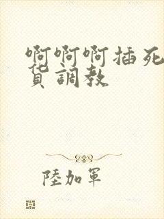 啊啊啊插死小骚货调教