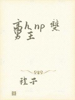 高h np 双男主