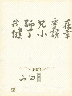 我师兄实在太稳健了小说章节目录