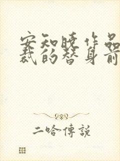 安知晓作品:总裁的替身前妻小说完整封面