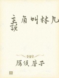 主角叫林凡的小说