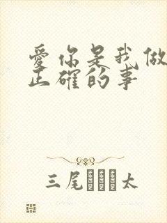 爱你是我做过最正确的事封面