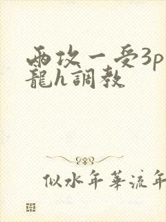 两攻一受3p双龙h调教