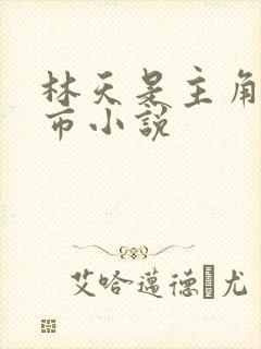 林天是主角的都市小说