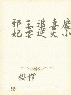 邪王追妻废材狂妃要逆天小说