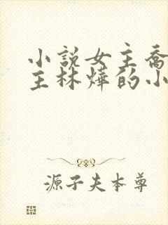 小说女主乔念男主林烨的小说