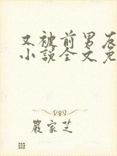 又被前男友盯上小说全文免费