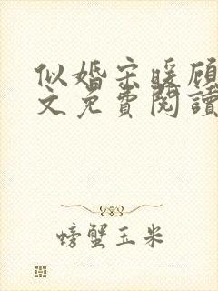 似婚宋暖顾时全文免费阅读笔趣阁