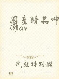 国产精品呻吟高潮av