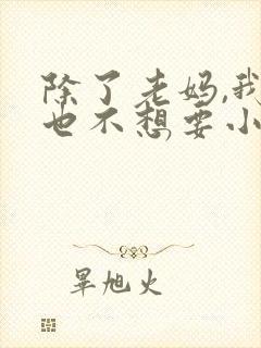 除了老妈,我谁也不想要小说免费阅读