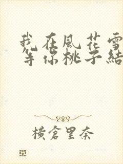 我在风花雪月里等你桃子结局