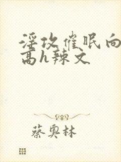 淫攻催眠向np高h辣文