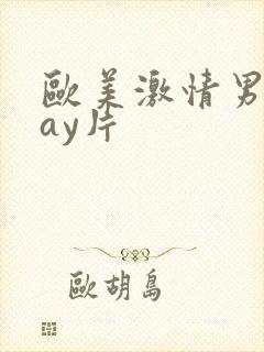 欧美激情男男gay片