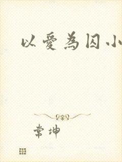 以爱为囚小说
