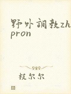 野外调教zhepron封面