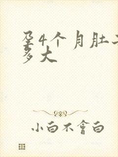 孕4个月肚子有多大封面