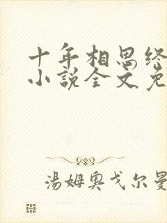 十年相思终成空小说全文免费阅读封面