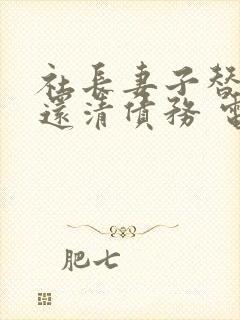 社长妻子替丈夫还清债务 电视剧免费观看