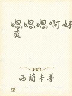 嗯嗯嗯啊好大好爽封面