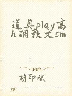 道具play高h调教文sm