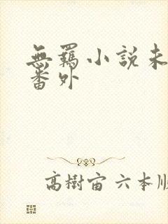 无羁小说未删减番外