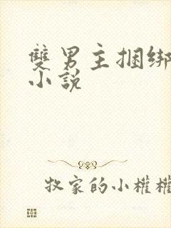 双男主捆绑调教小说封面