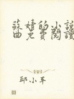 苏婧的小说三部曲免费阅读