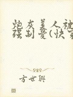 炮灰美人被疯批强制爱(快穿/np总受封面