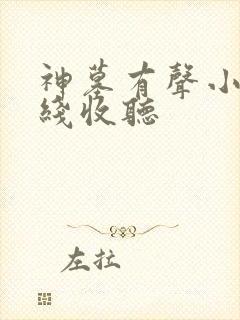 神墓有声小说在线收听