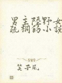 男主陆野女主明疏桐的小说