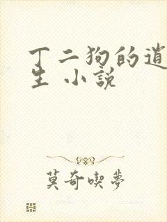 丁二狗的逍遥人生 小说