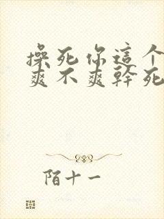 操死你这个骚货爽不爽干死你