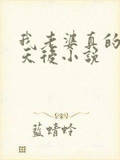 我老婆真的不是天后小说