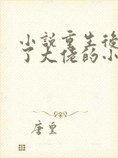 小说重生后我成了大佬的小心肝阅读