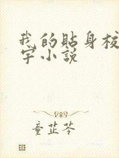 我的贴身校花唐宇小说