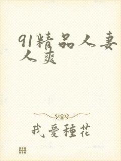 91精品人妻人人爽