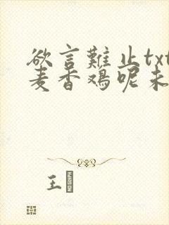 欲言难止txt麦香鸡呢未删减