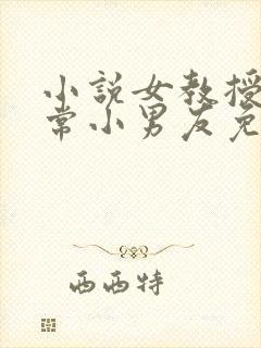 小说女教授的日常小男友免费阅读