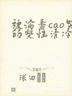 被沦番cao哭的双性清冷美人封面