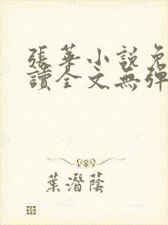 张华小说免费阅读全文无弹窗封面