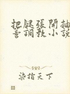 把腿张开抽打花蒂调教小说封面