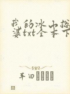 我的冰山总裁老婆txt全本下载封面