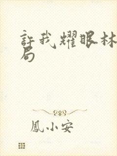 许我耀眼林浩结局