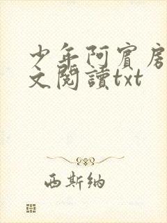 少年阿宾房东全文阅读txt封面