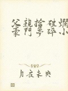 父亲拾破烂女儿豪门梦碎小说