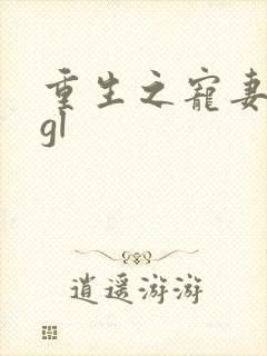 重生之宠妻之路gl